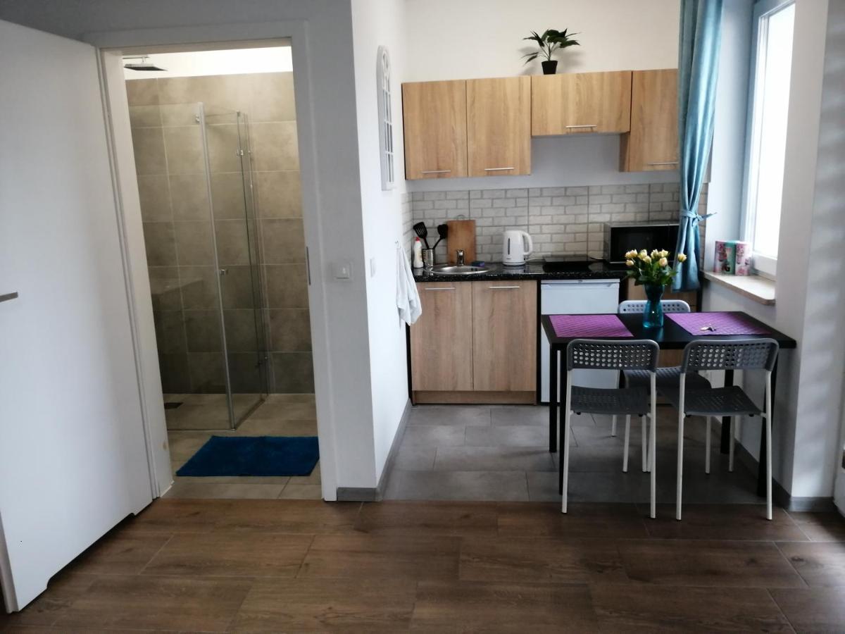 Pokoje - Studio Gliwice I Przy Onkologii Екстериор снимка